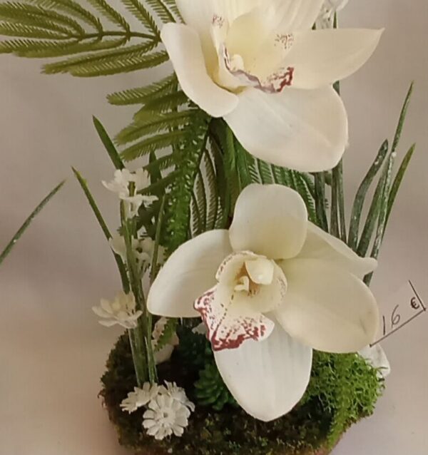 Ramo Solidario nº 66