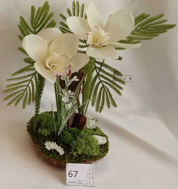 Ramo Solidario nº 67