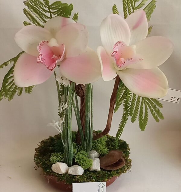 Ramo Solidario nº 69