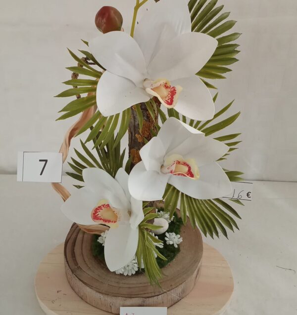 Ramo Solidario nº 7