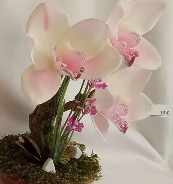 Ramo Solidario nº 70