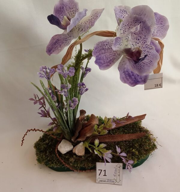 Ramo Solidario nº 71