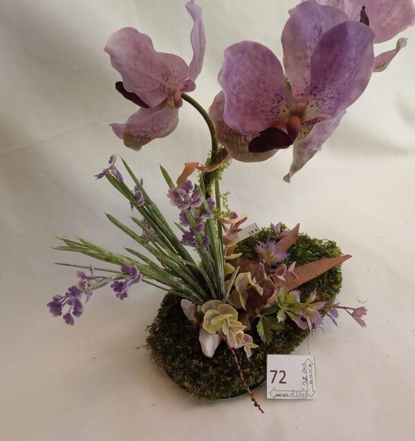 Ramo Solidario nº 72