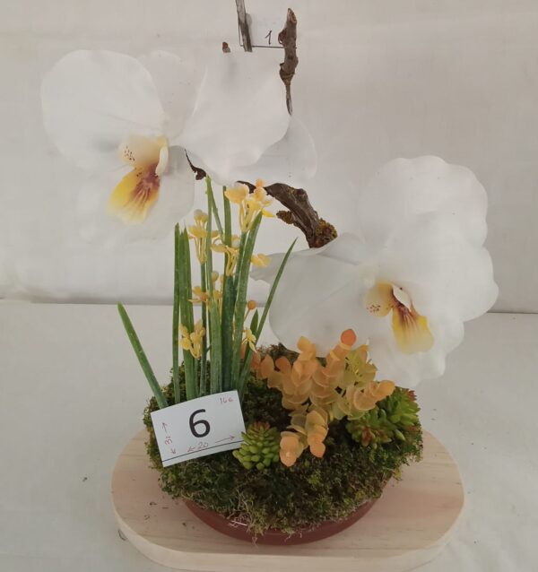 Ramo Solidario nº 9